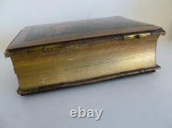 Antique 19th c Sorrento photo album, photos from South France, two hand coloured