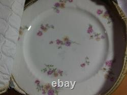 Antique set 56 pieces Two Leaf Clovers mark dinnerware dinner china collectible