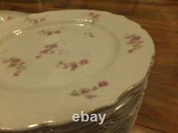 Antique set 56 pieces Two Leaf Clovers mark dinnerware dinner china collectible