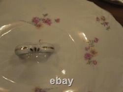 Antique set 56 pieces Two Leaf Clovers mark dinnerware dinner china collectible