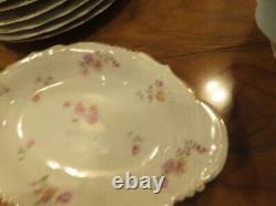 Antique set 56 pieces Two Leaf Clovers mark dinnerware dinner china collectible