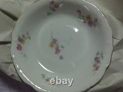 Antique set 56 pieces Two Leaf Clovers mark dinnerware dinner china collectible