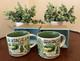 Arkansas Been There Starbucks Coffee Mugs- Set Of Two