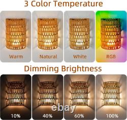 Battery Operated Rattan Wall Sconces Set of Two, Cordless RGB Handwoven Boho W