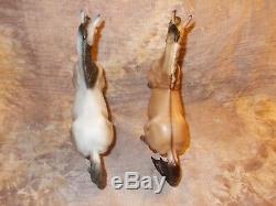 Breyer Desatado Mold. Marsh Tacky Two Step & Diablo DC (2) rare set