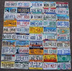 COMPLETE SET ALL 50 STATES USA LICENSE PLATES LOT + Mexico Canada Panama Tags