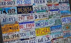 COMPLETE SET ALL 50 STATES USA LICENSE PLATES LOT + Mexico Canada Panama Tags