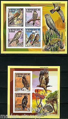 Chad 2013 Hawks Set Of Two Collective Sheets Imperforated Mint Nh