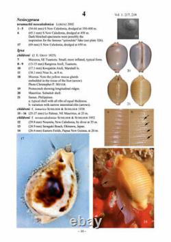 Cowries A Guide to the Gastropod Family Cypraeidae Two Volume Set