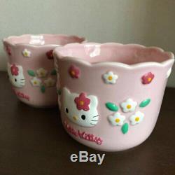 Hello Kitty Flower Kitty Flowerpot Flower Pot Planter Two set 1997 Sanrio Retro