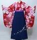 Kimono Hakama Set, Small Pattern, Short Length, Two Shaku Sleeves, New
