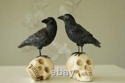 Mark Roberts Crow on Skull 10 Set of Two