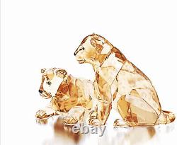 NIB Swarovski SCS 2019 Amur Leopard Cubs Set Of Two Crystal Figurines #5428542
