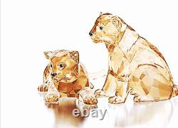 NIB Swarovski SCS 2019 Amur Leopard Cubs Set Of Two Crystal Figurines #5428542