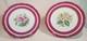 Pair Antique English Raspberry Pink Border Hand Painted Floral Botanical Plates
