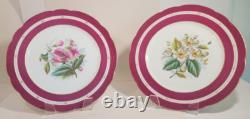 Pair Antique English Raspberry Pink Border Hand Painted Floral Botanical Plates