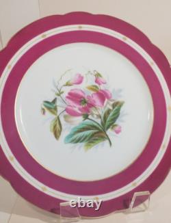 Pair Antique English Raspberry Pink Border Hand Painted Floral Botanical Plates