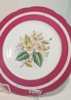 Pair Antique English Raspberry Pink Border Hand Painted Floral Botanical Plates