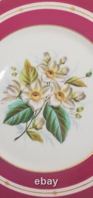 Pair Antique English Raspberry Pink Border Hand Painted Floral Botanical Plates
