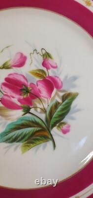 Pair Antique English Raspberry Pink Border Hand Painted Floral Botanical Plates