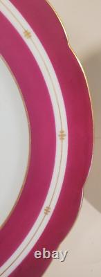 Pair Antique English Raspberry Pink Border Hand Painted Floral Botanical Plates