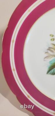 Pair Antique English Raspberry Pink Border Hand Painted Floral Botanical Plates