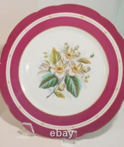Pair Antique English Raspberry Pink Border Hand Painted Floral Botanical Plates
