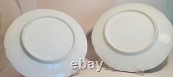Pair Antique English Raspberry Pink Border Hand Painted Floral Botanical Plates