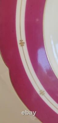 Pair Antique English Raspberry Pink Border Hand Painted Floral Botanical Plates