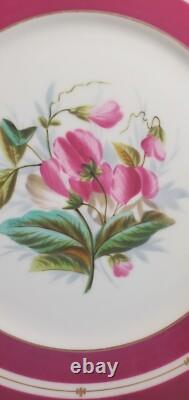 Pair Antique English Raspberry Pink Border Hand Painted Floral Botanical Plates