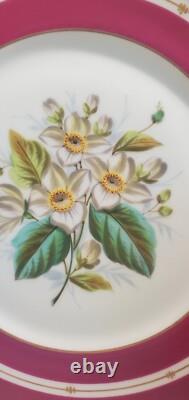 Pair Antique English Raspberry Pink Border Hand Painted Floral Botanical Plates
