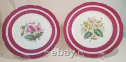 Pair Antique English Raspberry Pink Border Hand Painted Floral Botanical Plates
