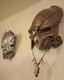 Predator Mask Collection Set Of Two Collectors Item Replica Very Heavy Handmade