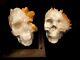 Rareset Of Two Life Size Hand-carved Quartz Crystal Skulls. Unique