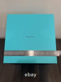 Rare Tiffany & Co Etched Ampersand Martini Glasses Set of 2 Italy