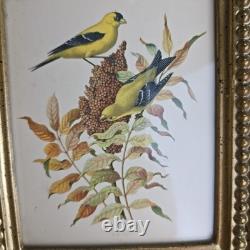 Rare Vintage Set of Two Rudolf Freund Bird Lithographs in Gilded Frames