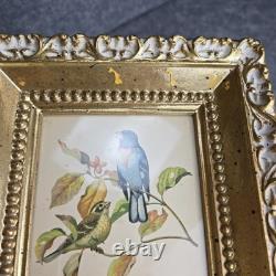 Rare Vintage Set of Two Rudolf Freund Bird Lithographs in Gilded Frames