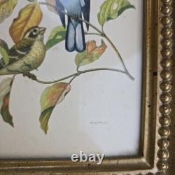 Rare Vintage Set of Two Rudolf Freund Bird Lithographs in Gilded Frames