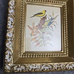 Rare Vintage Set of Two Rudolf Freund Bird Lithographs in Gilded Frames
