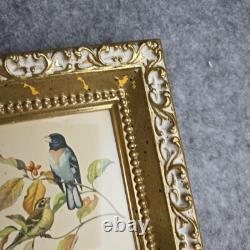 Rare Vintage Set of Two Rudolf Freund Bird Lithographs in Gilded Frames