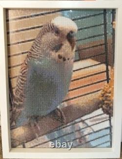 Set Of Two Large Framed Budgie Photos Homemade