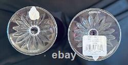 Set of Two (2) NIB Waterford Crystal Amethyst LISMORE 9 1/4 Fluted CHAMPAGNE