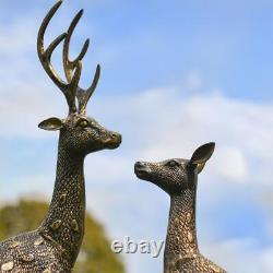 Set of Two Spotted Chital Garden Sculpture Male & Female