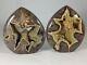 Set Of Two Top Quality Hollow Septarian Nodule Flames From Utah