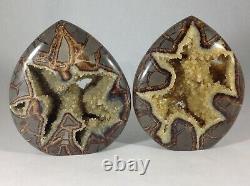 Set of Two Top Quality Hollow Septarian Nodule Flames from Utah