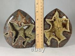 Set of Two Top Quality Hollow Septarian Nodule Flames from Utah