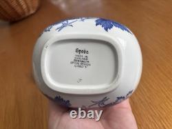 Spode Blue Room Collection Georgian Series Floral Tea Set Of 8