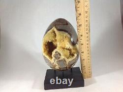 Top Quality Set Of Two Hollow Septarian Nodule Eggs from Utah