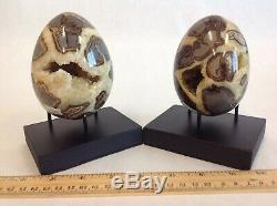 Top Quality Set Of Two Hollow Septarian Nodule Eggs from Utah 50 % Off Sale