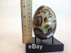 Top Quality Set Of Two Hollow Septarian Nodule Eggs from Utah 50 % Off Sale